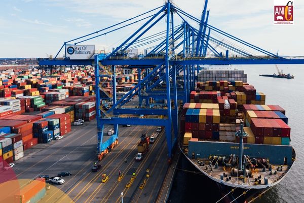 Exportacin crnica